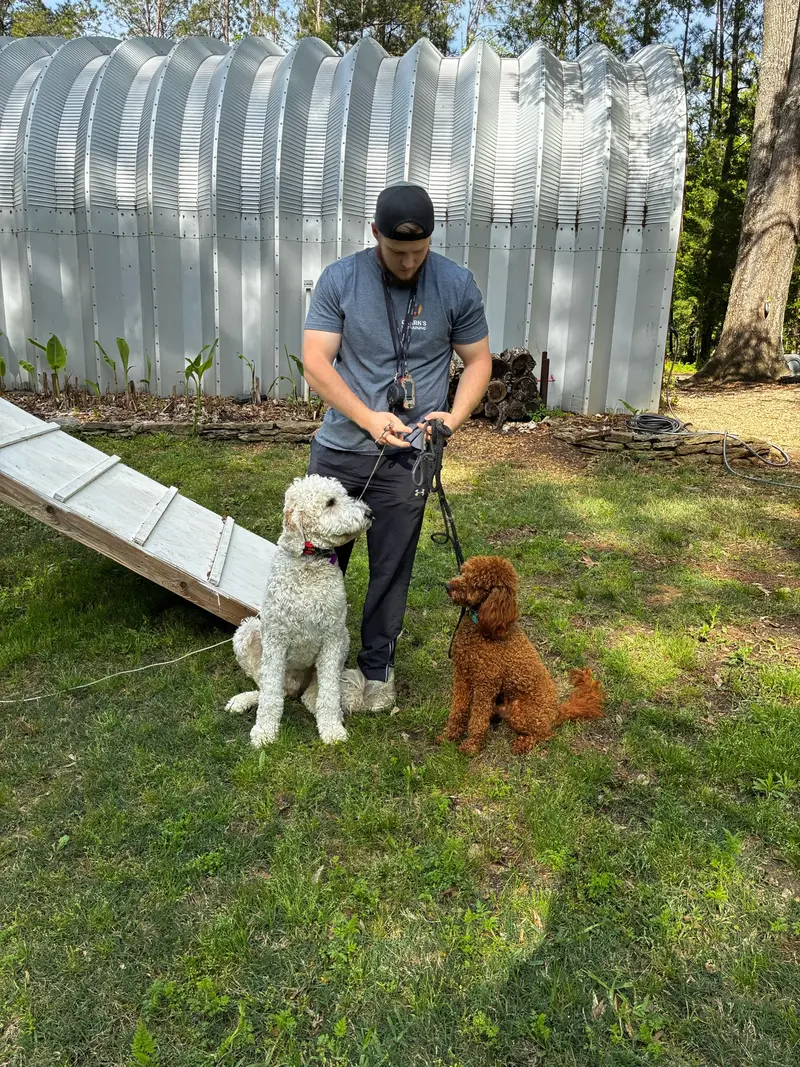 Bailey Clark holding two doodles in a calm sit-stay during a backyard training session