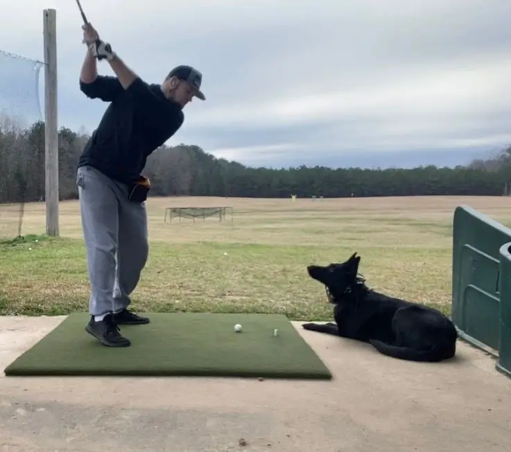 A black German Shepherd holding a down-stay beside Bailey Clark while he hits balls at a driving range