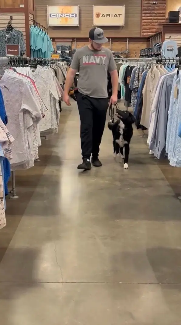 A border collie heeling on a loose leash beside Bailey Clark through a busy western wear store