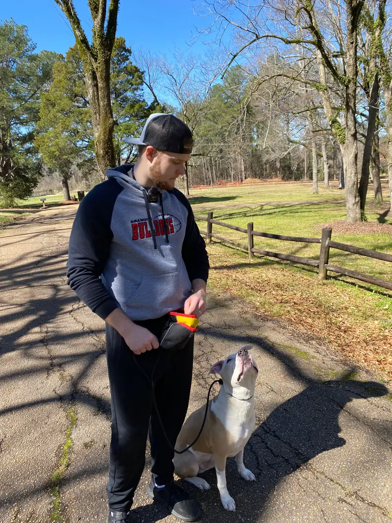 Bailey Clark petting a pit bull that is sitting calmly at a park during a first meeting
