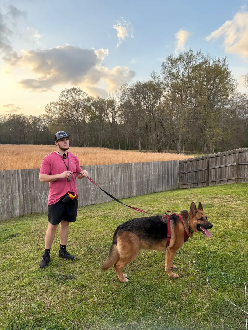Bailey Clark holding a long line with a German Shepherd in a red harness during a backyard session at sunset