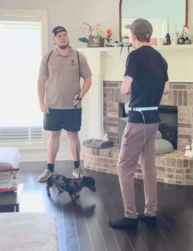 Bailey Clark walking a dachshund on leash in a client's living room while coaching the owner during an in-home lesson