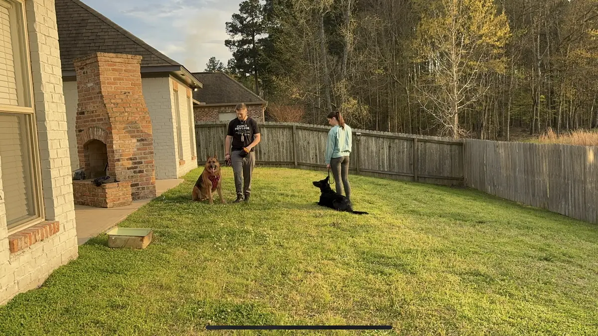Bailey Clark coaching a client and her two German Shepherds through a sit-stay in their backyard during a private lesson