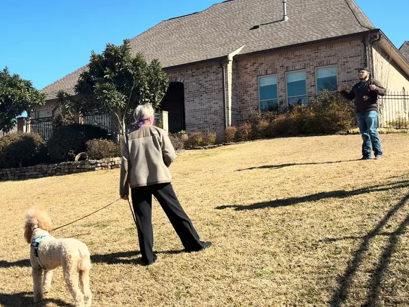 Bailey Clark working with Grace, a Flowood family's standard poodle, along a fence line during a lesson